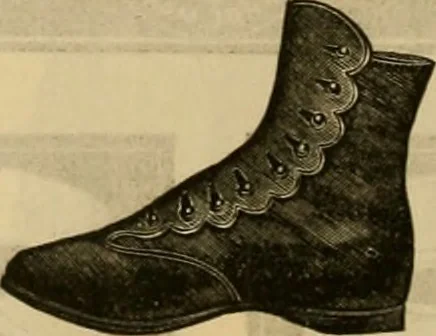 An illustration from Catalogue no. 52., 1886, leaf 59