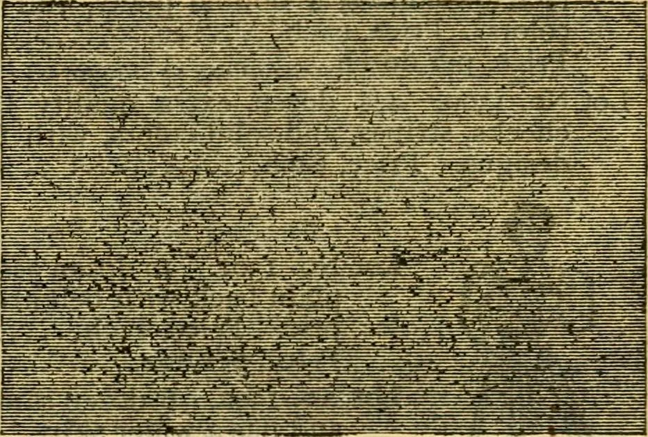 An illustration from Catalogue no. 96 : dry goods, clothing, boots and shoes, hats and caps, ladies' and gents' furnishing goods, crockery, etc., etc., bought at sheriffs', receivers', and trustees' sales., 1899, leaf 18