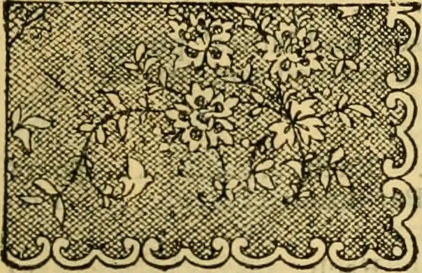 An illustration from Catalogue no. 96 : dry goods, clothing, boots and shoes, hats and caps, ladies' and gents' furnishing goods, crockery, etc., etc., bought at sheriffs', receivers', and trustees' sales., 1899, leaf 22