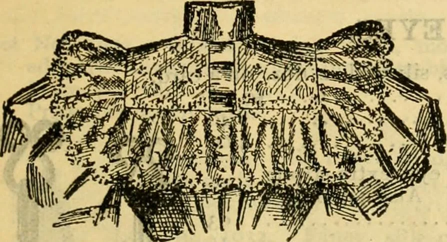 An illustration from Catalogue no. 96 : dry goods, clothing, boots and shoes, hats and caps, ladies' and gents' furnishing goods, crockery, etc., etc., bought at sheriffs', receivers', and trustees' sales., 1899, leaf 24
