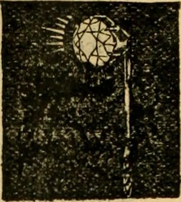 An illustration from Catalogue no. 96 : dry goods, clothing, boots and shoes, hats and caps, ladies' and gents' furnishing goods, crockery, etc., etc., bought at sheriffs', receivers', and trustees' sales., 1899, leaf 31