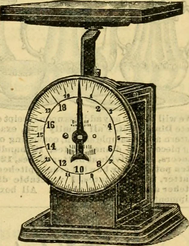 An illustration from Catalogue no. 96 : dry goods, clothing, boots and shoes, hats and caps, ladies' and gents' furnishing goods, crockery, etc., etc., bought at sheriffs', receivers', and trustees' sales., 1899, leaf 32