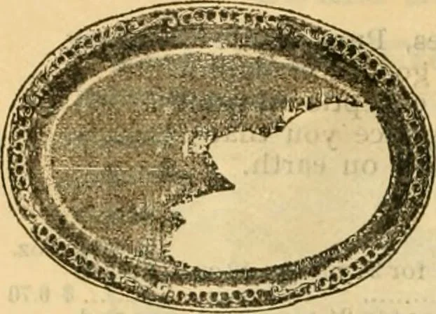 An illustration from Catalogue no. 96 : dry goods, clothing, boots and shoes, hats and caps, ladies' and gents' furnishing goods, crockery, etc., etc., bought at sheriffs', receivers', and trustees' sales., 1899, leaf 35