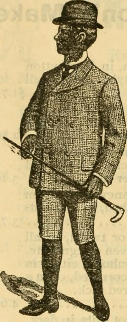 An illustration from Catalogue no. 96 : dry goods, clothing, boots and shoes, hats and caps, ladies' and gents' furnishing goods, crockery, etc., etc., bought at sheriffs', receivers', and trustees' sales., 1899, leaf 55