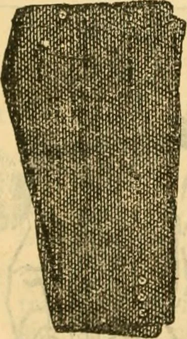 An illustration from Catalogue no. 96 : dry goods, clothing, boots and shoes, hats and caps, ladies' and gents' furnishing goods, crockery, etc., etc., bought at sheriffs', receivers', and trustees' sales., 1899, leaf 55