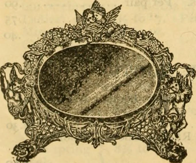 An illustration from Catalogue no. 96 : dry goods, clothing, boots and shoes, hats and caps, ladies' and gents' furnishing goods, crockery, etc., etc., bought at sheriffs', receivers', and trustees' sales., 1899, leaf 61