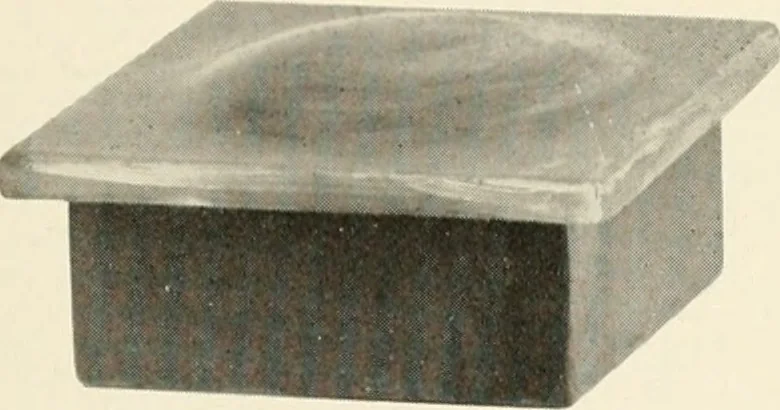 An illustration from Catalogue number fifty-two., 1910, leaf 30