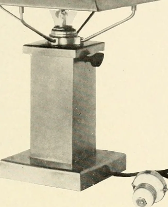 An illustration from Catalogue number fifty-two., 1910, leaf 36