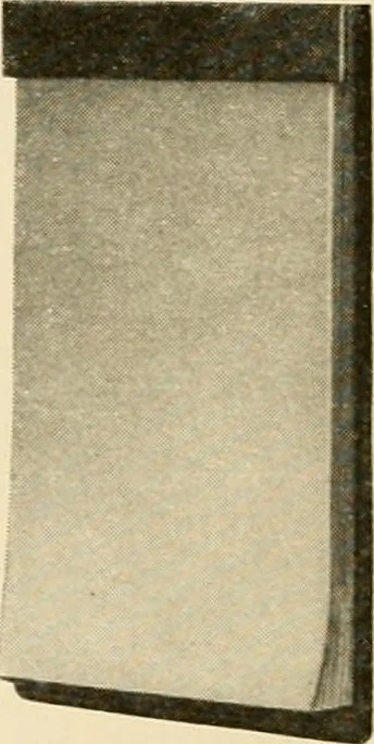An illustration from Catalogue number fifty-two., 1910, leaf 41