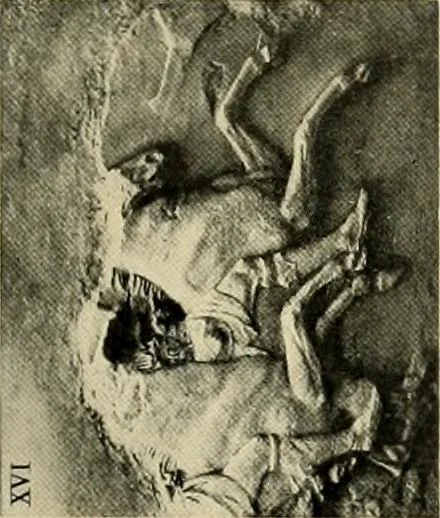 An illustration from Catalogue of plaster reproductions from antique, medieval and modern sculpture : subjects suitable for schools, libraries, and homes., 1911, leaf 100