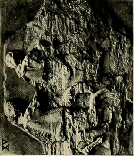 An illustration from Catalogue of plaster reproductions from antique, medieval and modern sculpture : subjects suitable for schools, libraries, and homes., 1911, leaf 100