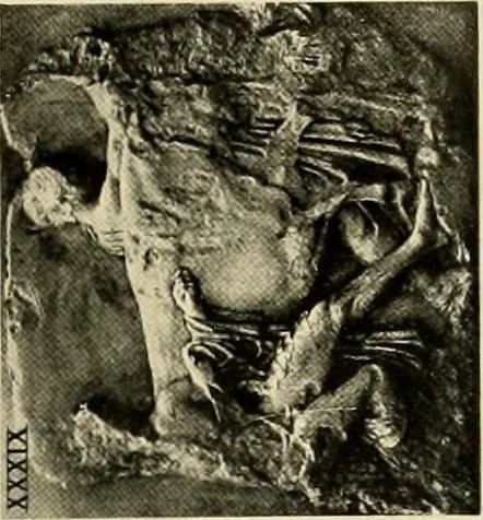 An illustration from Catalogue of plaster reproductions from antique, medieval and modern sculpture : subjects suitable for schools, libraries, and homes., 1911, leaf 100
