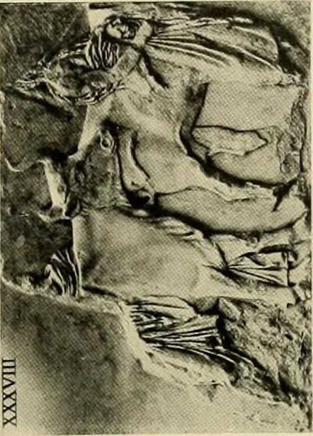 An illustration from Catalogue of plaster reproductions from antique, medieval and modern sculpture : subjects suitable for schools, libraries, and homes., 1911, leaf 100