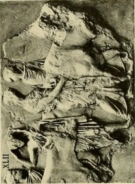 An illustration from Catalogue of plaster reproductions from antique, medieval and modern sculpture : subjects suitable for schools, libraries, and homes., 1911, leaf 100