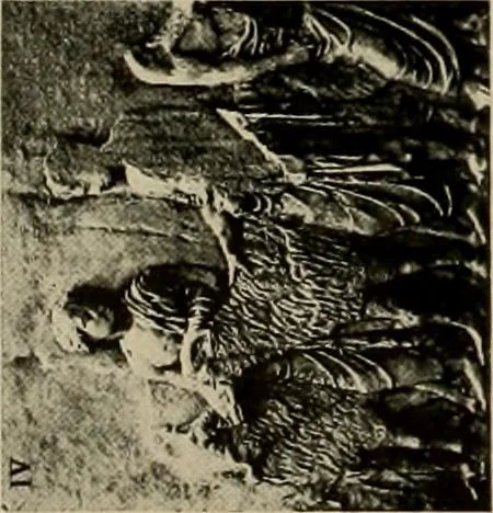 An illustration from Catalogue of plaster reproductions from antique, medieval and modern sculpture : subjects suitable for schools, libraries, and homes., 1911, leaf 101
