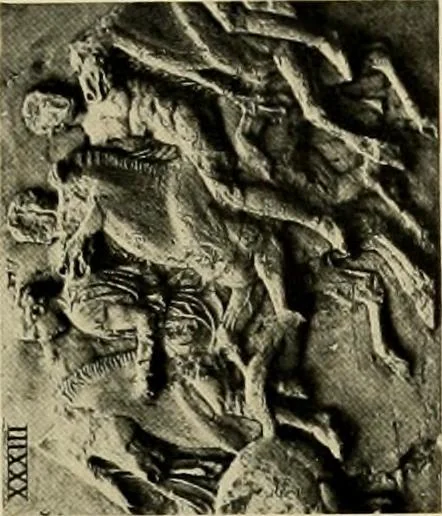 An illustration from Catalogue of plaster reproductions from antique, medieval and modern sculpture : subjects suitable for schools, libraries, and homes., 1911, leaf 102