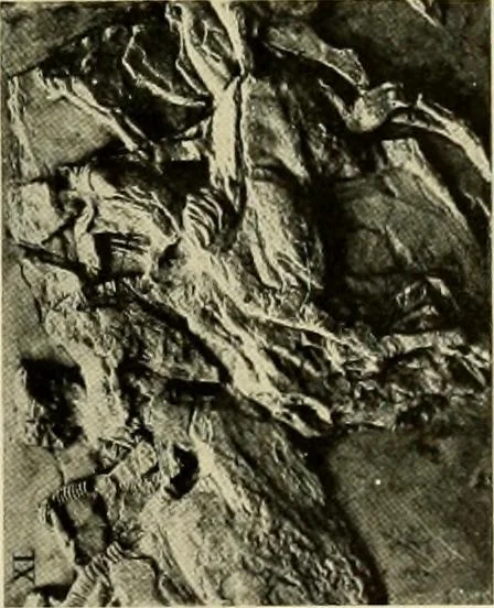 An illustration from Catalogue of plaster reproductions from antique, medieval and modern sculpture : subjects suitable for schools, libraries, and homes., 1911, leaf 102