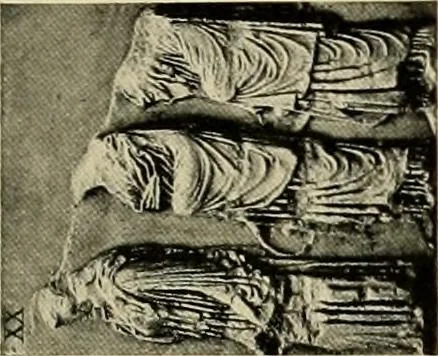 An illustration from Catalogue of plaster reproductions from antique, medieval and modern sculpture : subjects suitable for schools, libraries, and homes., 1911, leaf 104