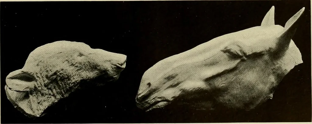 An illustration from Catalogue of plaster reproductions from antique, medieval and modern sculpture : subjects suitable for schools, libraries, and homes., 1911, leaf 166