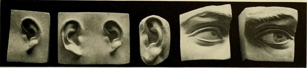 An illustration from Catalogue of plaster reproductions from antique, medieval and modern sculpture : subjects suitable for schools, libraries, and homes., 1911, leaf 178