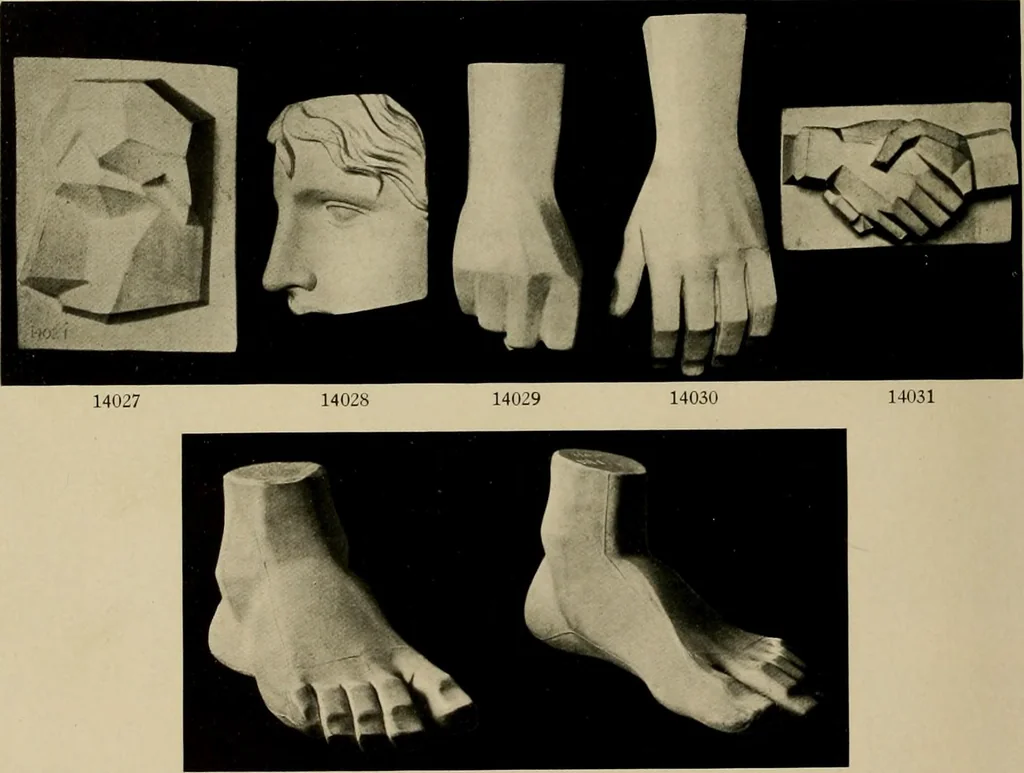 An illustration from Catalogue of plaster reproductions from antique, medieval and modern sculpture : subjects suitable for schools, libraries, and homes., 1911, leaf 179