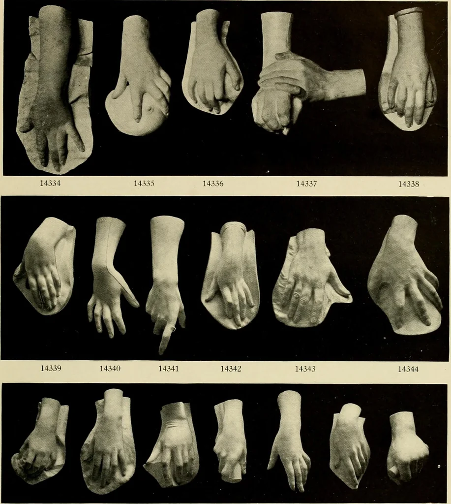 An illustration from Catalogue of plaster reproductions from antique, medieval and modern sculpture : subjects suitable for schools, libraries, and homes., 1911, leaf 184