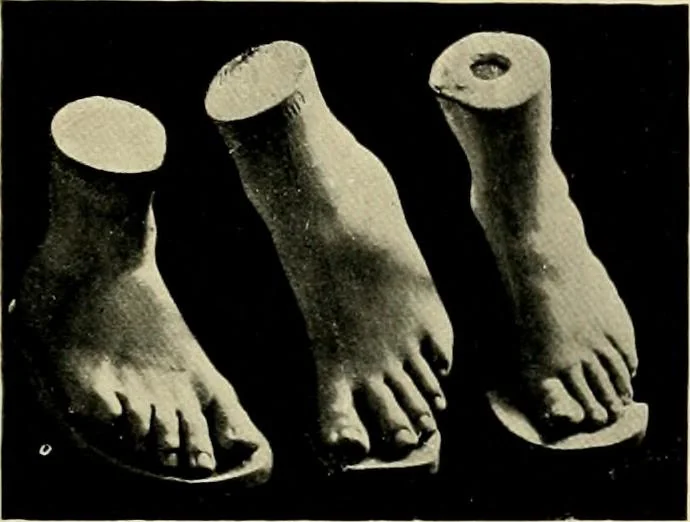 An illustration from Catalogue of plaster reproductions from antique, medieval and modern sculpture : subjects suitable for schools, libraries, and homes., 1911, leaf 188