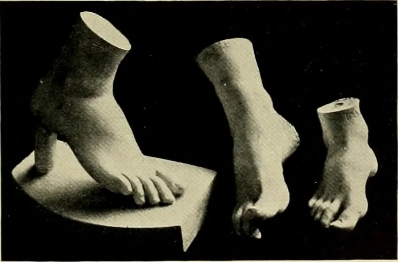 An illustration from Catalogue of plaster reproductions from antique, medieval and modern sculpture : subjects suitable for schools, libraries, and homes., 1911, leaf 188