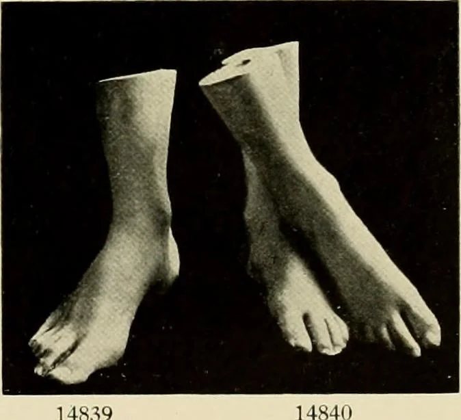 An illustration from Catalogue of plaster reproductions from antique, medieval and modern sculpture : subjects suitable for schools, libraries, and homes., 1911, leaf 188