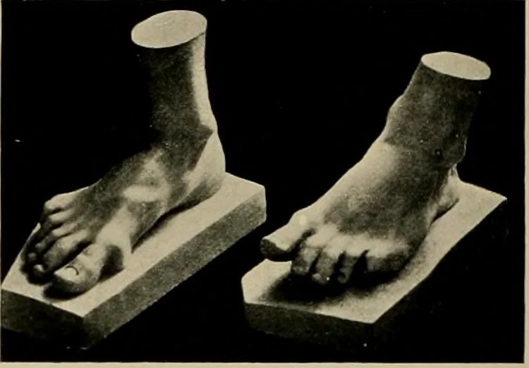 An illustration from Catalogue of plaster reproductions from antique, medieval and modern sculpture : subjects suitable for schools, libraries, and homes., 1911, leaf 189