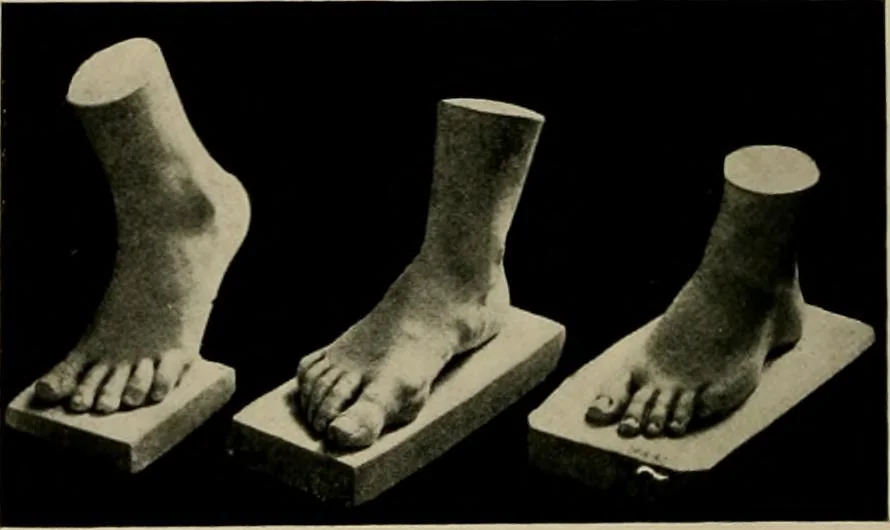 An illustration from Catalogue of plaster reproductions from antique, medieval and modern sculpture : subjects suitable for schools, libraries, and homes., 1911, leaf 189