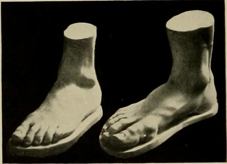 An illustration from Catalogue of plaster reproductions from antique, medieval and modern sculpture : subjects suitable for schools, libraries, and homes., 1911, leaf 189