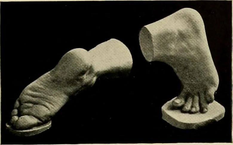 An illustration from Catalogue of plaster reproductions from antique, medieval and modern sculpture : subjects suitable for schools, libraries, and homes., 1911, leaf 190