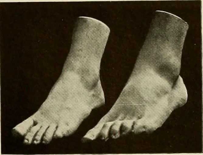 An illustration from Catalogue of plaster reproductions from antique, medieval and modern sculpture : subjects suitable for schools, libraries, and homes., 1911, leaf 190