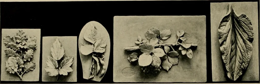 An illustration from Catalogue of plaster reproductions from antique, medieval and modern sculpture : subjects suitable for schools, libraries, and homes., 1911, leaf 191