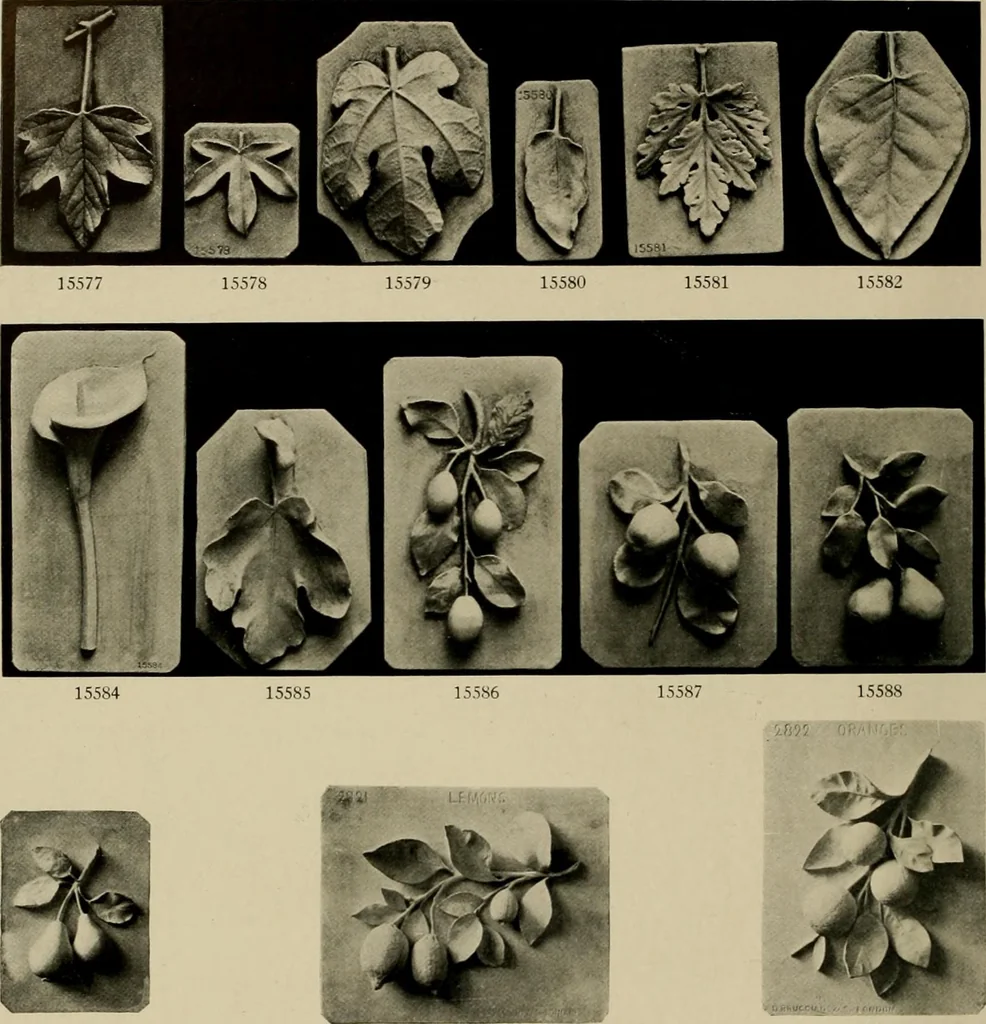 An illustration from Catalogue of plaster reproductions from antique, medieval and modern sculpture : subjects suitable for schools, libraries, and homes., 1911, leaf 195