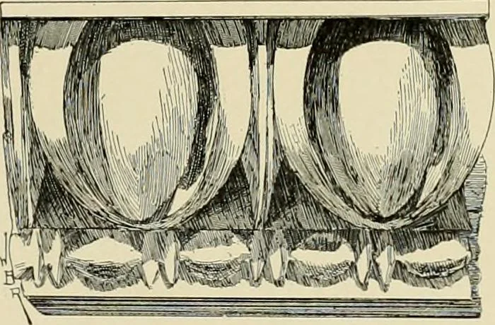 An illustration from Catalogue of plaster reproductions from antique, medieval and modern sculpture : subjects suitable for schools, libraries, and homes., 1911, leaf 204