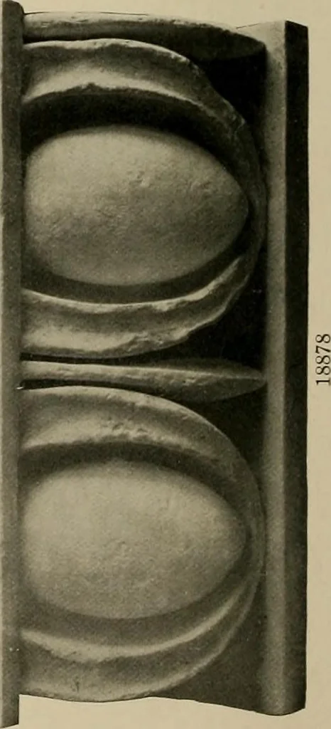An illustration from Catalogue of plaster reproductions from antique, medieval and modern sculpture : subjects suitable for schools, libraries, and homes., 1911, leaf 207