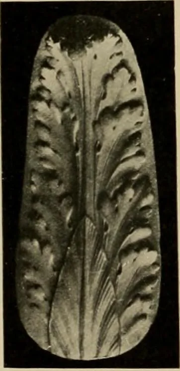 An illustration from Catalogue of plaster reproductions from antique, medieval and modern sculpture : subjects suitable for schools, libraries, and homes., 1911, leaf 219