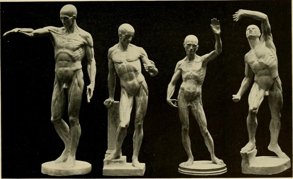 An illustration from Catalogue of plaster reproductions from antique, medieval and modern sculpture : subjects suitable for schools, libraries, and homes., 1911, leaf 228