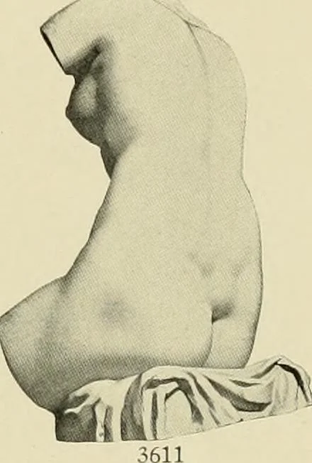 An illustration from Catalogue of plaster reproductions from antique, medieval and modern sculpture : subjects suitable for schools, libraries, and homes., 1911, leaf 58