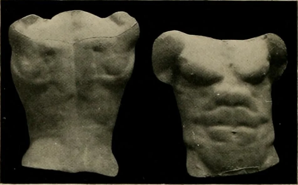 An illustration from Catalogue of plaster reproductions from antique, medieval and modern sculpture : subjects suitable for schools, libraries, and homes., 1911, leaf 59