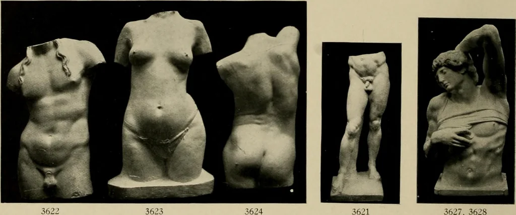 An illustration from Catalogue of plaster reproductions from antique, medieval and modern sculpture : subjects suitable for schools, libraries, and homes., 1911, leaf 59
