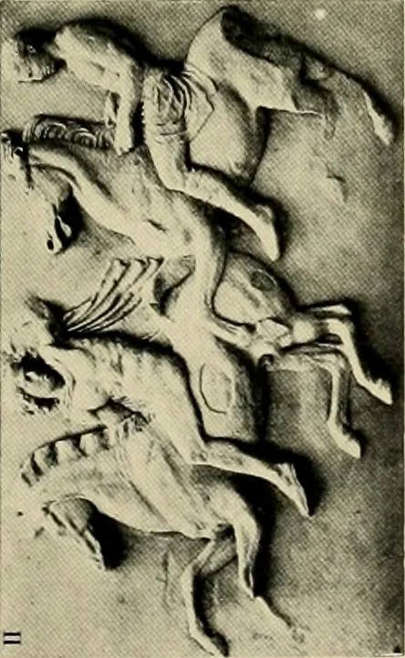 An illustration from Catalogue of plaster reproductions from antique, medieval and modern sculpture : subjects suitable for schools, libraries, and homes., 1911, leaf 98