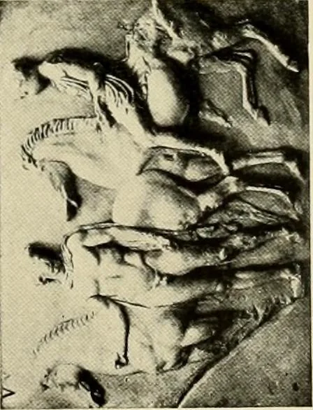 An illustration from Catalogue of plaster reproductions from antique, medieval and modern sculpture : subjects suitable for schools, libraries, and homes., 1911, leaf 98
