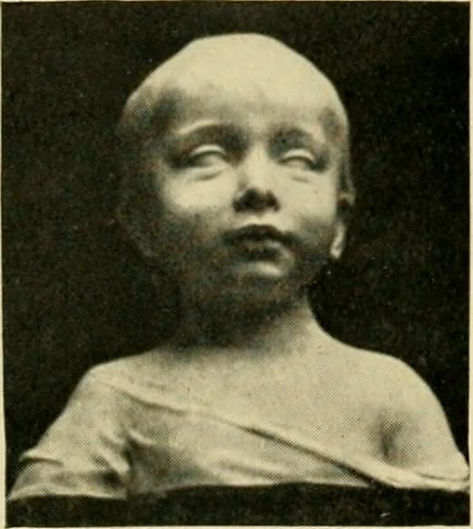 An illustration from Catalogue of A. Da Prato and Co. : importers and manufacturers of plaster cast reproductions from antique, medieval, and modern sculpture : subjects of every description for art schools : edition of 1900., 1900, leaf 40