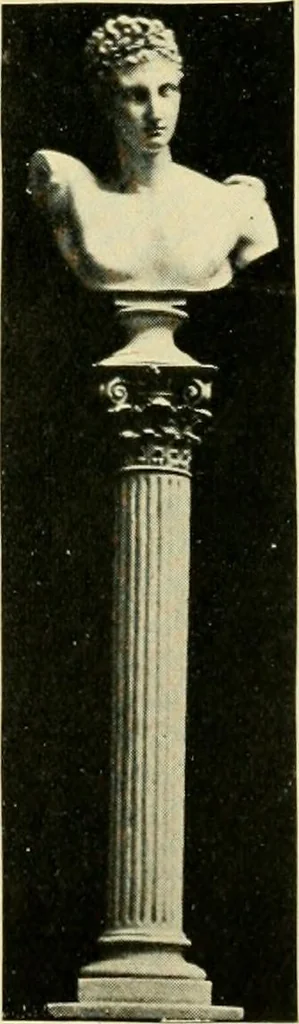 An illustration from Catalogue of A. Da Prato and Co. : importers and manufacturers of plaster cast reproductions from antique, medieval, and modern sculpture : subjects of every description for art schools : edition of 1900., 1900, leaf 50