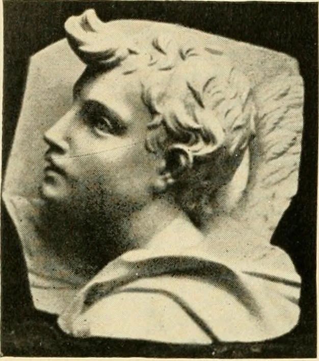 An illustration from Catalogue of A. Da Prato and Co. : importers and manufacturers of plaster cast reproductions from antique, medieval, and modern sculpture : subjects of every description for art schools : edition of 1900., 1900, leaf 51