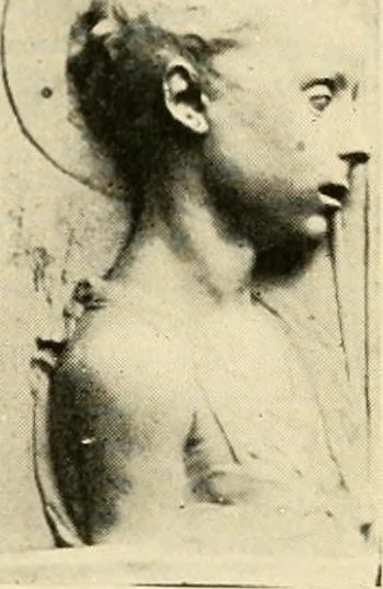 An illustration from Catalogue of A. Da Prato and Co. : importers and manufacturers of plaster cast reproductions from antique, medieval, and modern sculpture : subjects of every description for art schools : edition of 1900., 1900, leaf 51