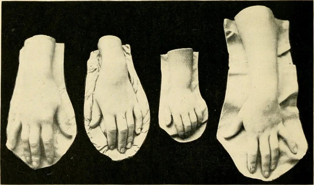 An illustration from Catalogue of A. Da Prato and Co. : importers and manufacturers of plaster cast reproductions from antique, medieval, and modern sculpture : subjects of every description for art schools : edition of 1900., 1900, leaf 67